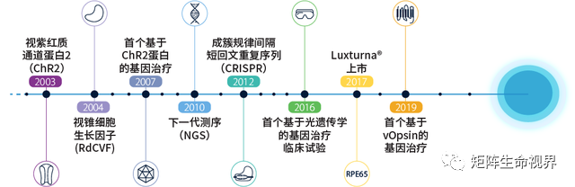 历史回顾 历史回顾