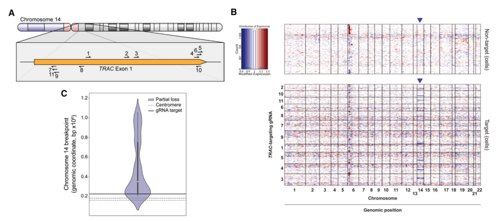CRISPR-Cas9