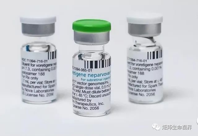 基因治疗药物 基因治疗药物