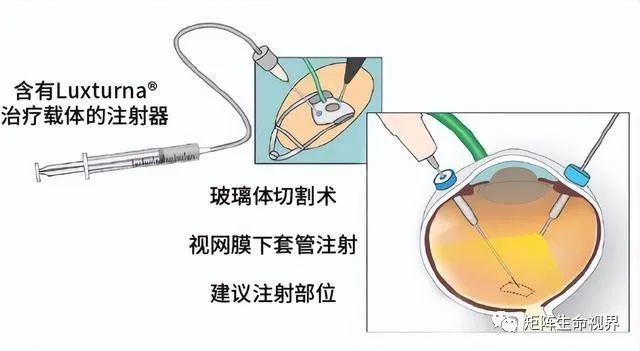 操作原则 操作原则