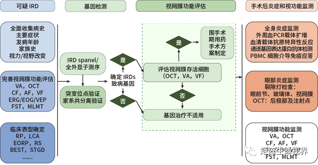 管理流程图 管理流程图