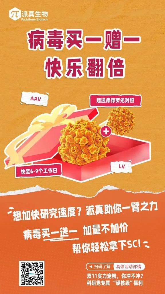 双11优惠多多