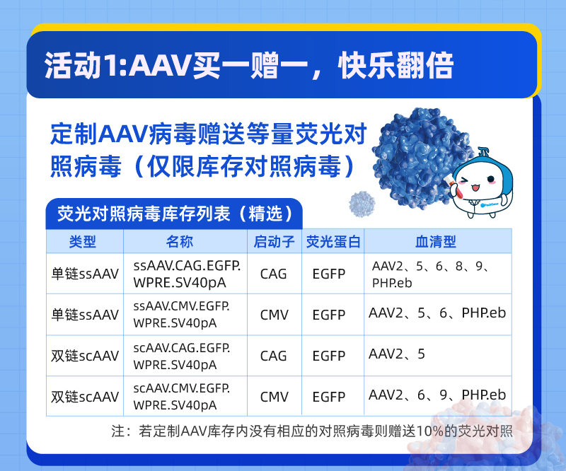 AAV病毒
