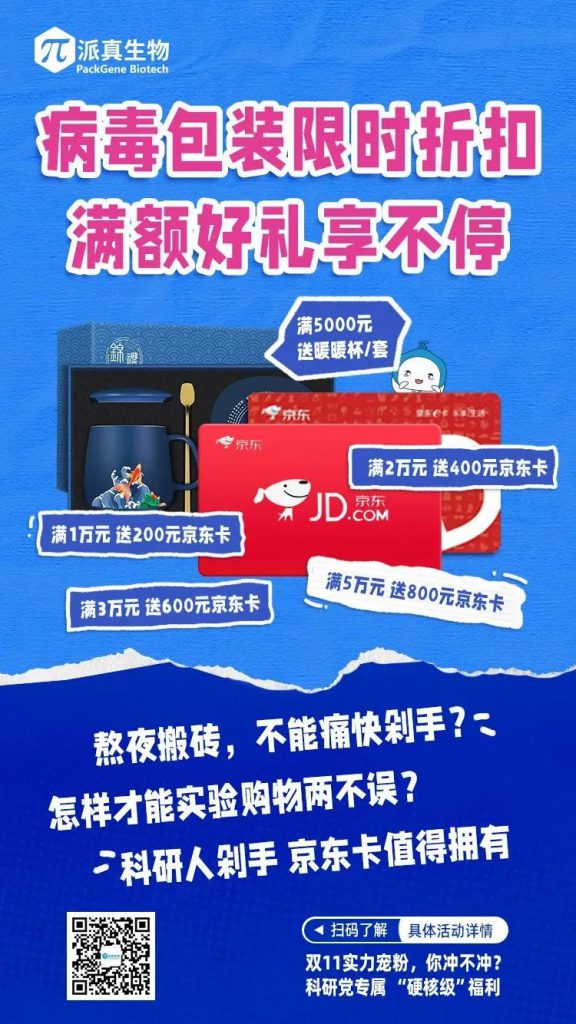 双11优惠多多