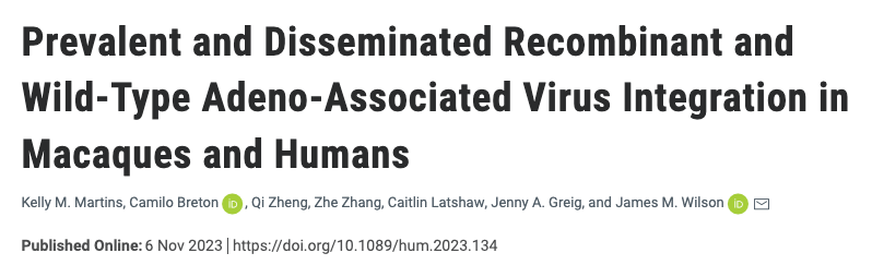 Human Gene Therapy