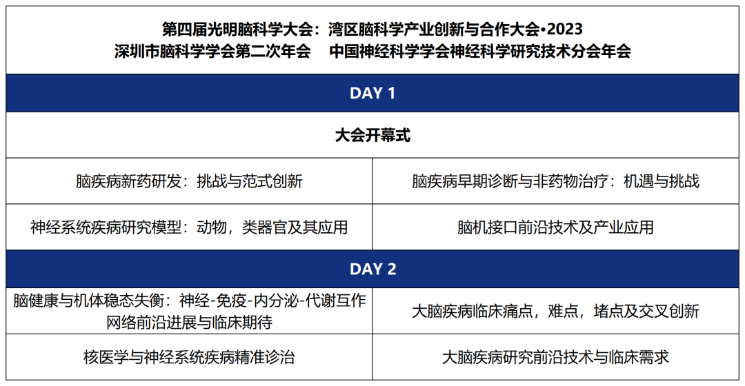 大会构架