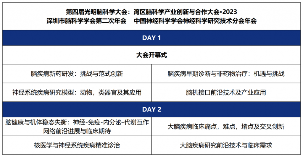大会构架
