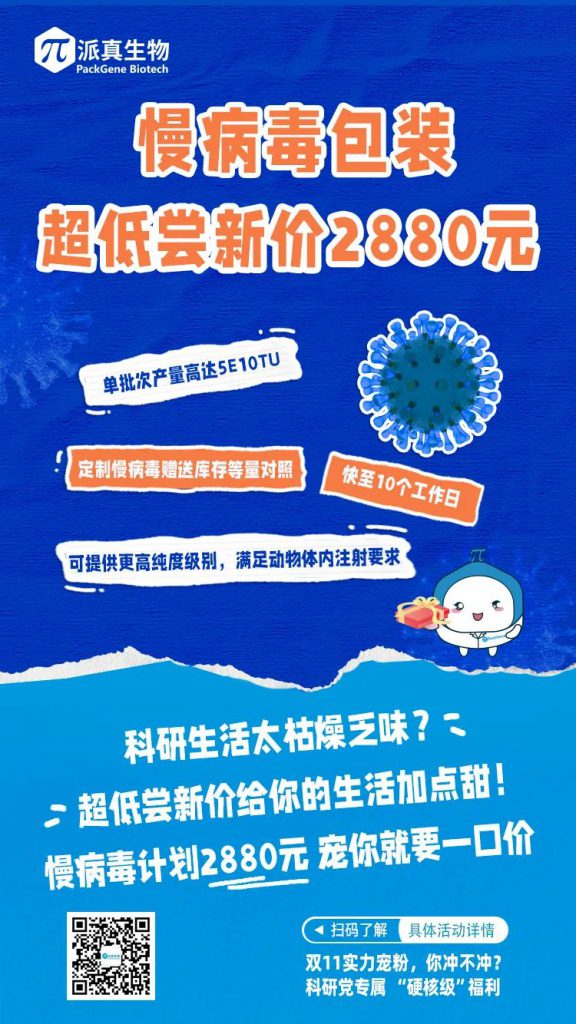 双11优惠多多
