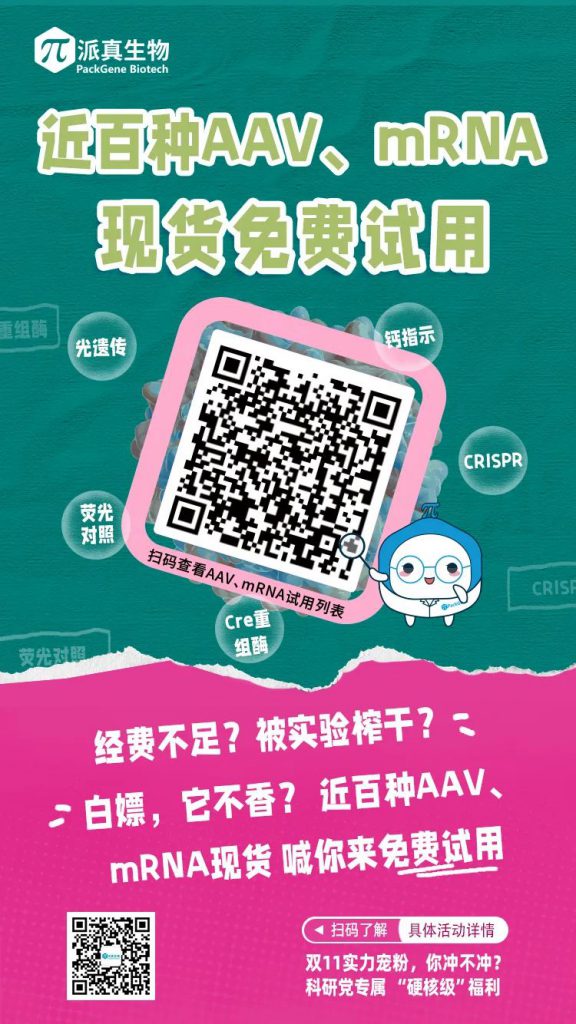 双11优惠多多