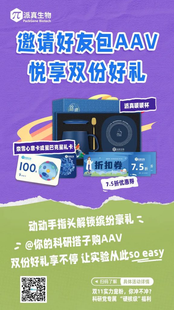 双11优惠多多
