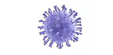 慢病毒的典型形态 慢病毒的典型形态