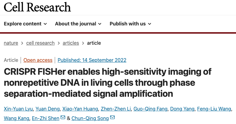 获奖论文 获奖论文