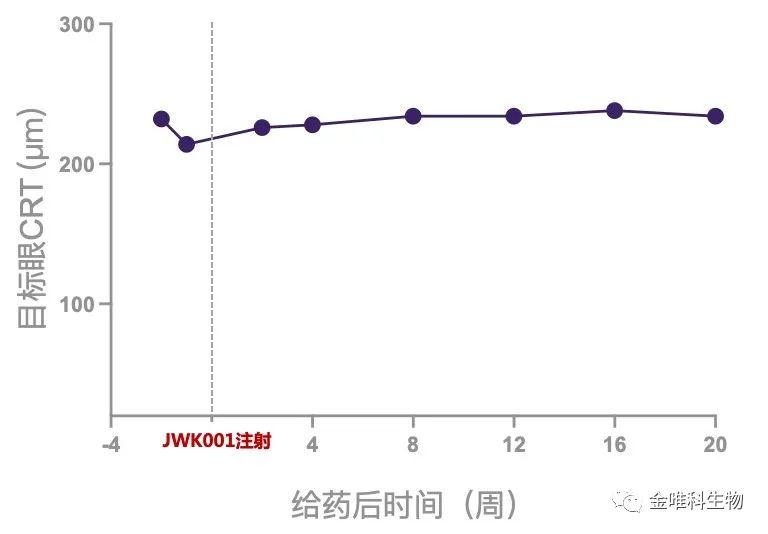 JWK001治疗后患者CRT稳定
