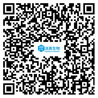 试剂盒