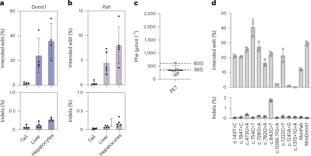 图6. 使用全rna–lnp递送在dnmt1位点进行体内prime编辑及校正pahenu2小鼠