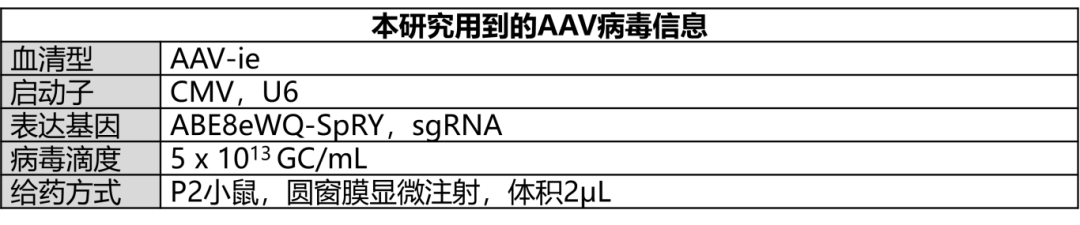 20250813084722