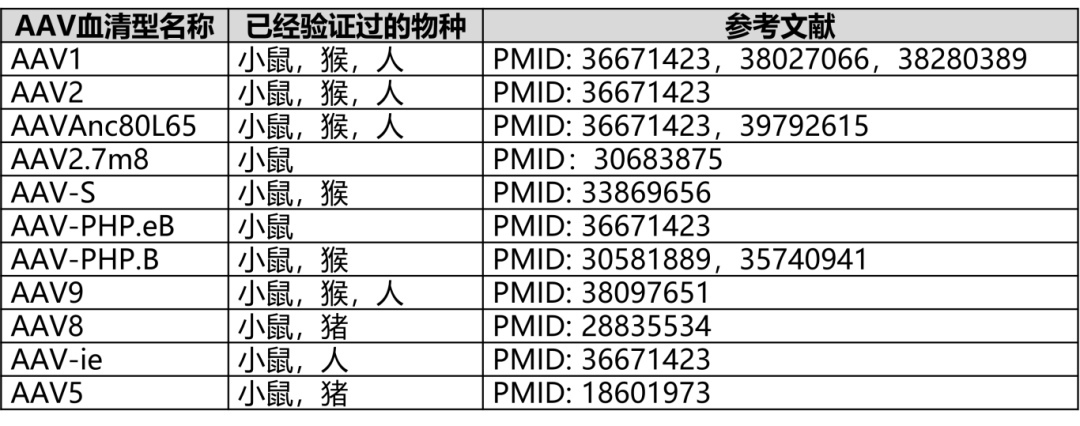 20250813084731