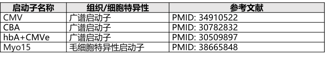 20250813084743