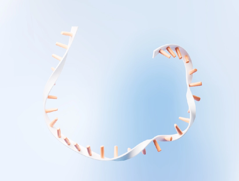 Custom mrna