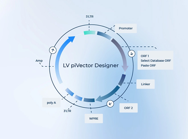 Lv pivector designer