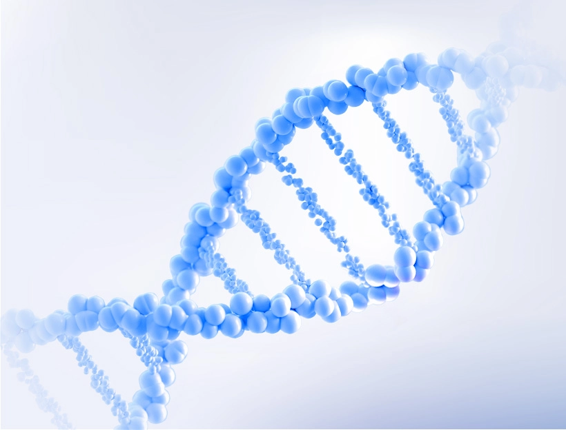 Plasmid prep preclinical
