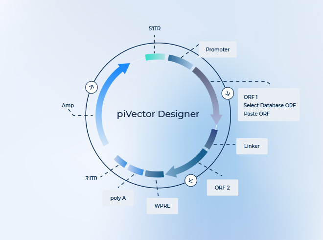 Pivector designer