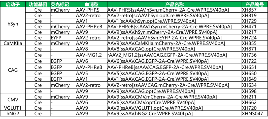 20250908095515