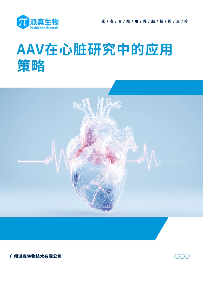 心脏应用