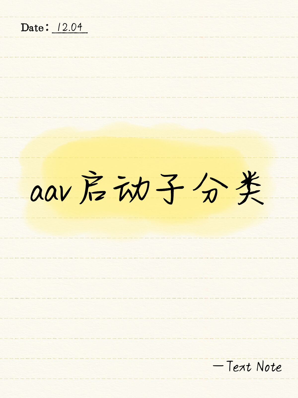 Aav启动子分类
