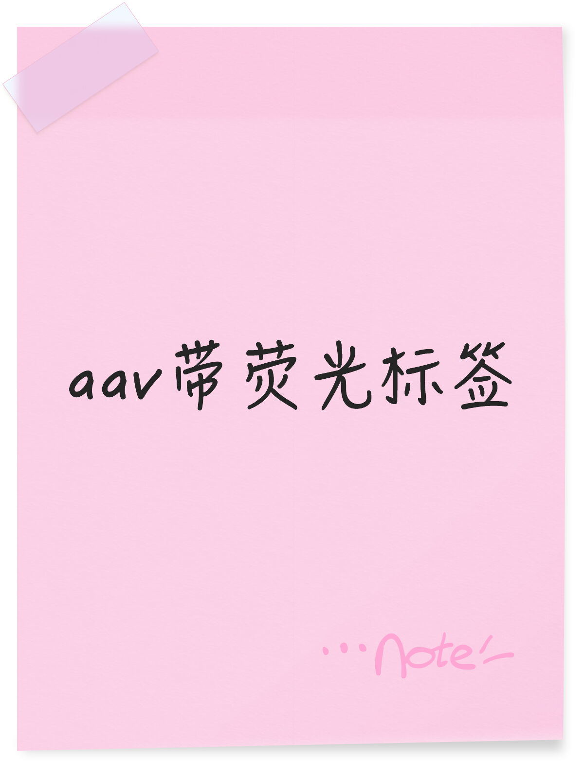 Aav带荧光标签