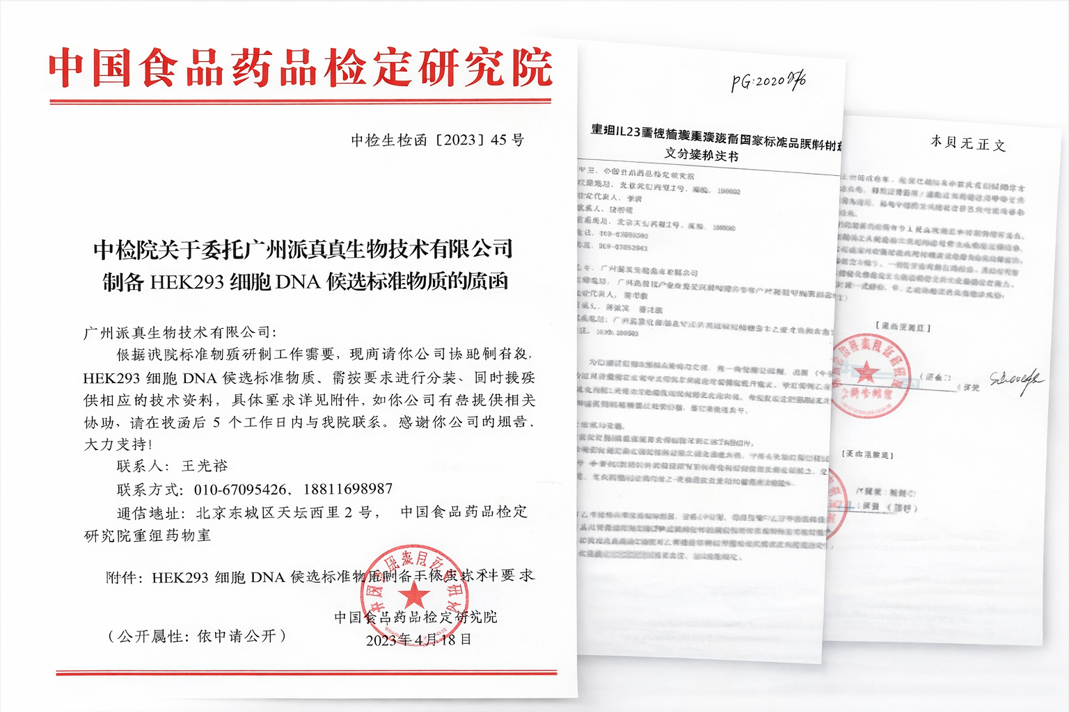 Chatgpt image 2026年1月13日 09 49 24