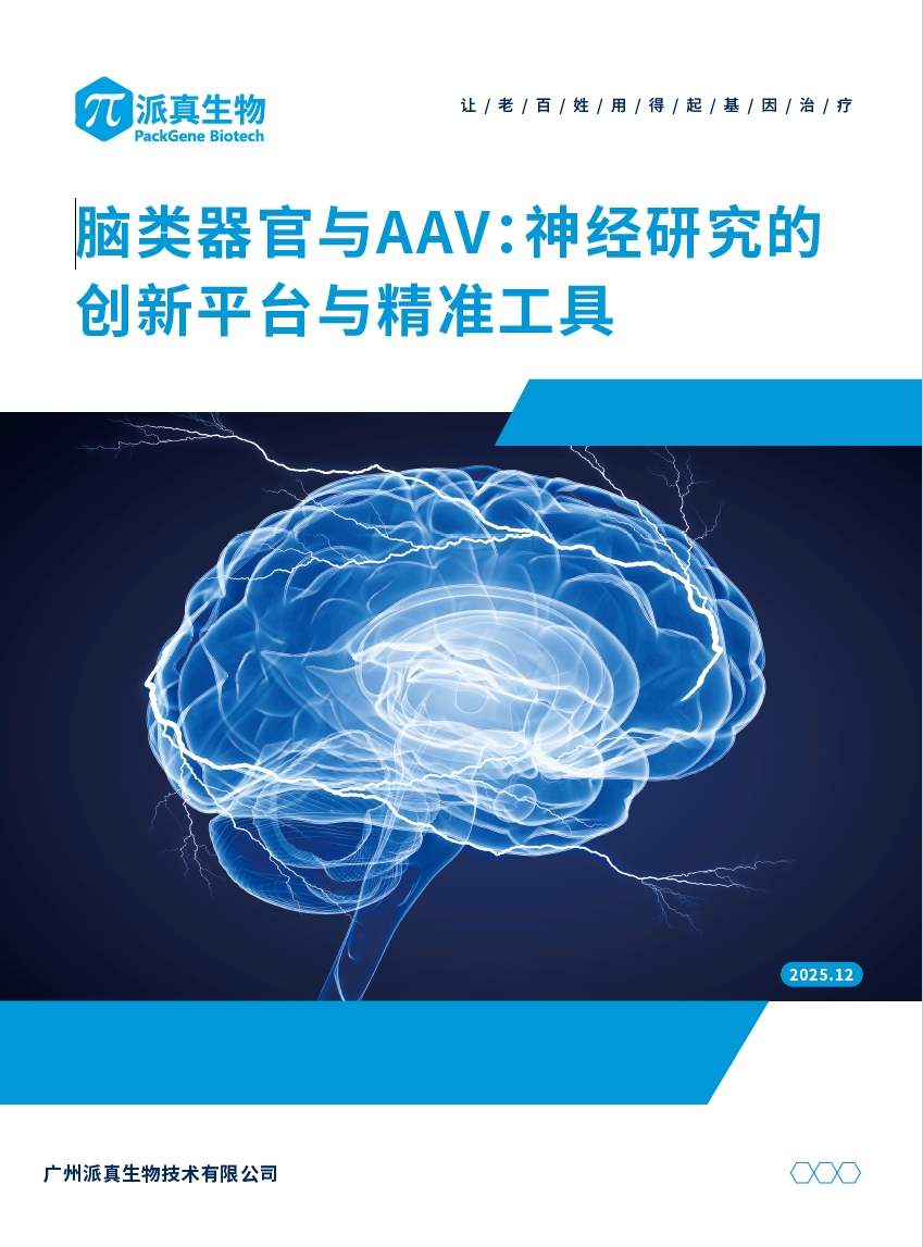 脑类器官与aav神经研究