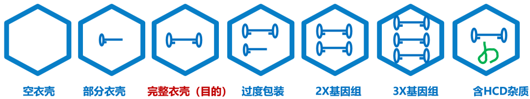 图1 各种形态的aav病毒颗粒示意图