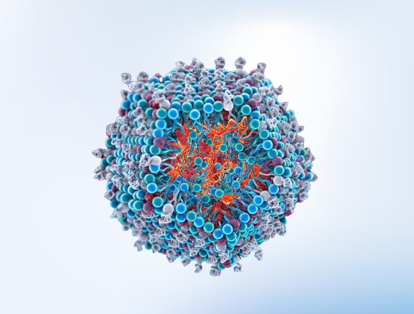 图片 custom mrna lnp