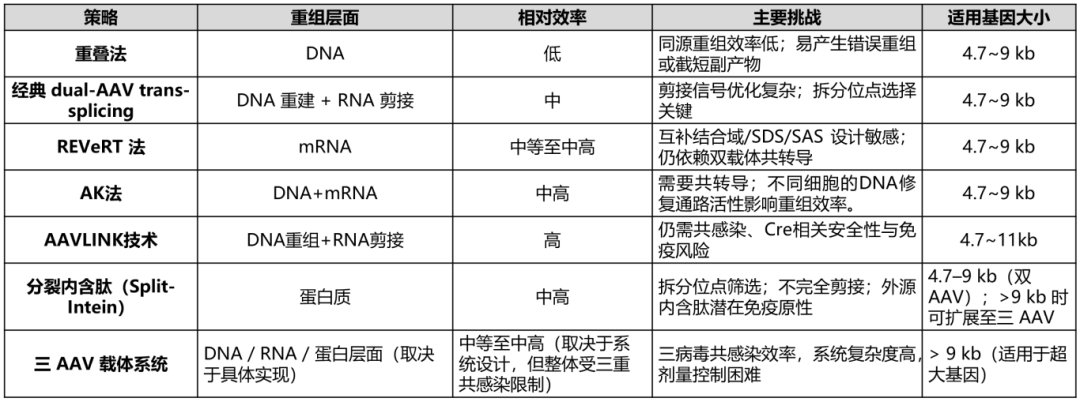 微信图片 20260318153500