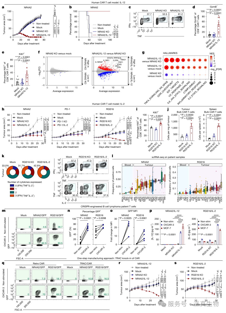 图3 crispr工程化人源car t细胞的治疗效力与临床适用性。