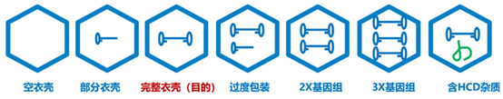 AAV包装结果